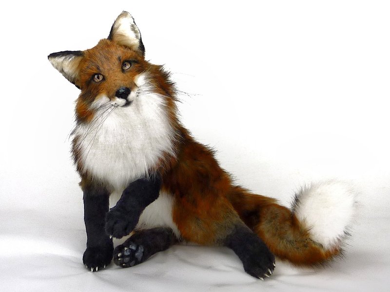 订制拟真狐狸玩偶 - 玩偶/公仔 - 其他材质 橘色