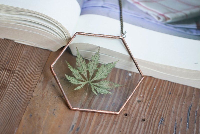 植物图鉴∣姊妹天使枫叶枫叶∣六角玻璃镶崁∣植物标本 - 干燥花/捧花 - 植物．花 绿色
