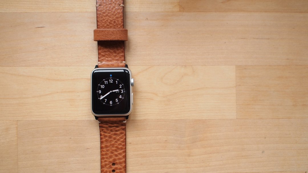 Apple Watch 单层摔纹啡色皮革表带订制 38 / 40 / 42 / 44mm - 表带 - 真皮 