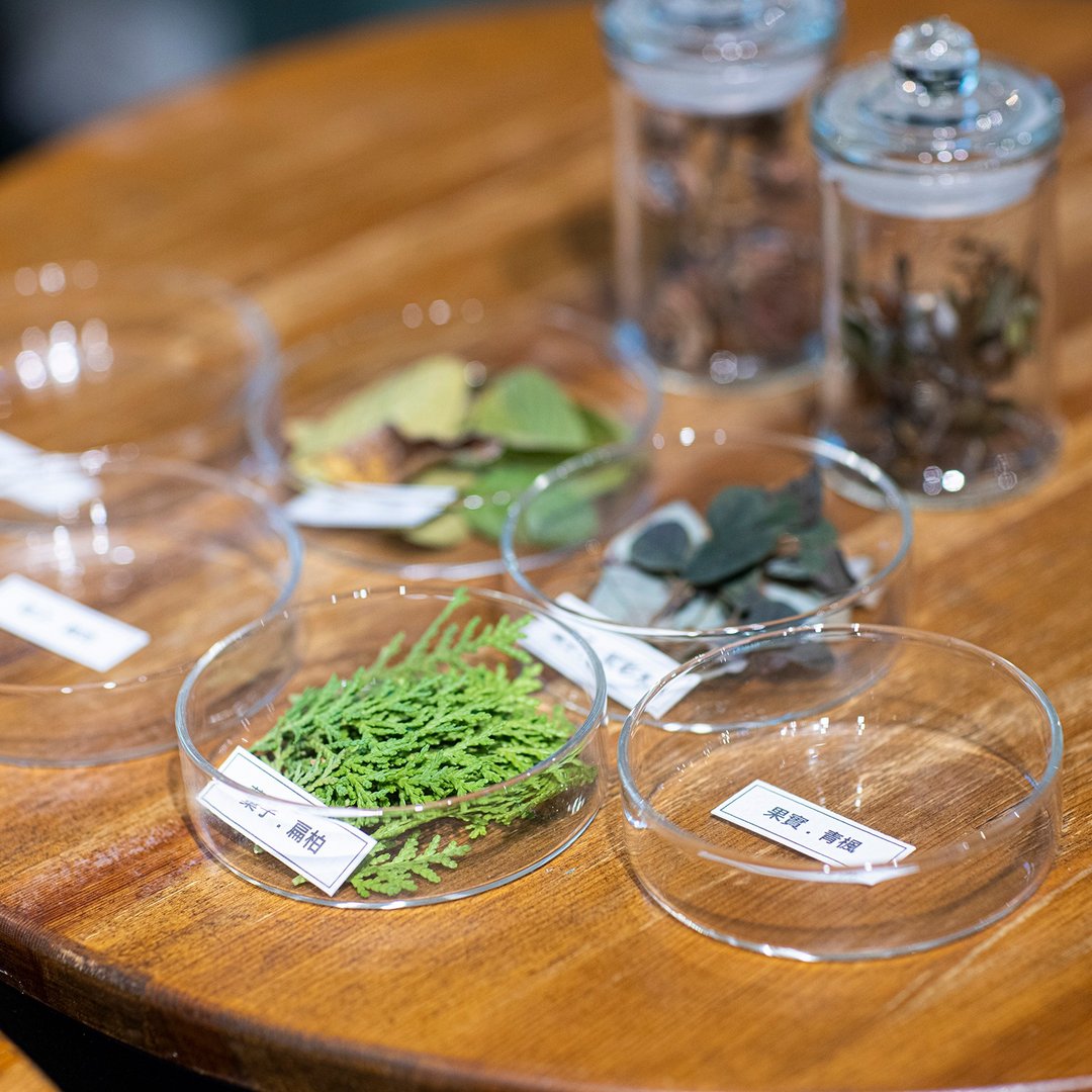 【两人成团】金工体验 植物金属饰品创作 纯银/黄铜 项链/耳环 - 金工/饰品 - 纯银 
