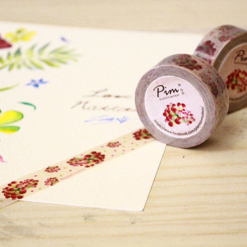 多肉植物纸胶带-景天科 - 纸胶带 - 纸 红色