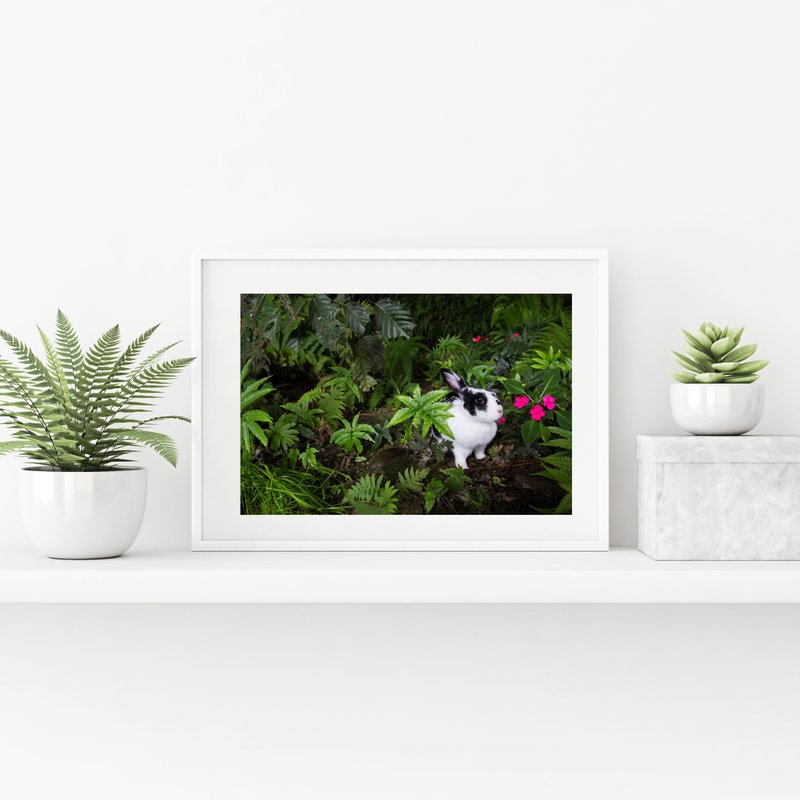 兔子摄影艺术微喷作品 - 绝美丛林 - 海报/装饰画/版画 - 纸 