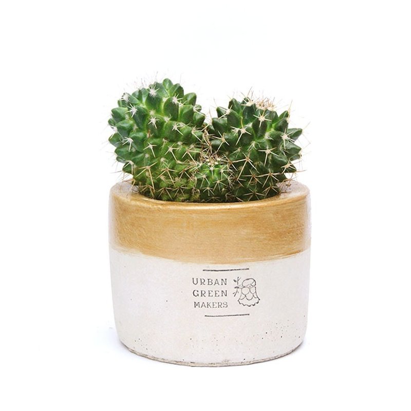 UGM圆型清水模盆器 / 金 - 植栽/盆栽 - 水泥 金色