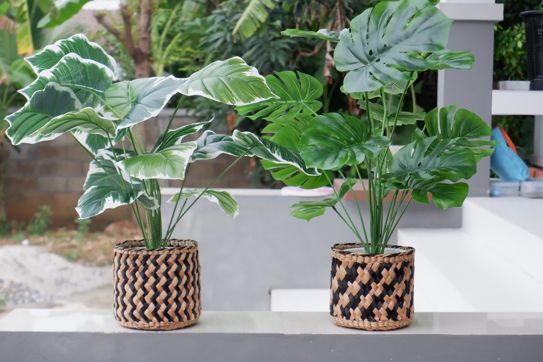 植物篮    花盆    家居装饰    室内植物篮   篮式编织厂 - 植栽/盆栽 - 植物．花 