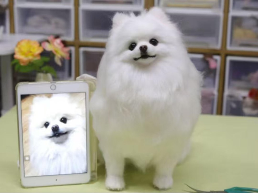 定制 逼真犬 毛孩 宠物 博美犬 羊毛毡 娃娃 似颜绘 纪念 狗狗 u5 - 玩具 - 羊毛 多色