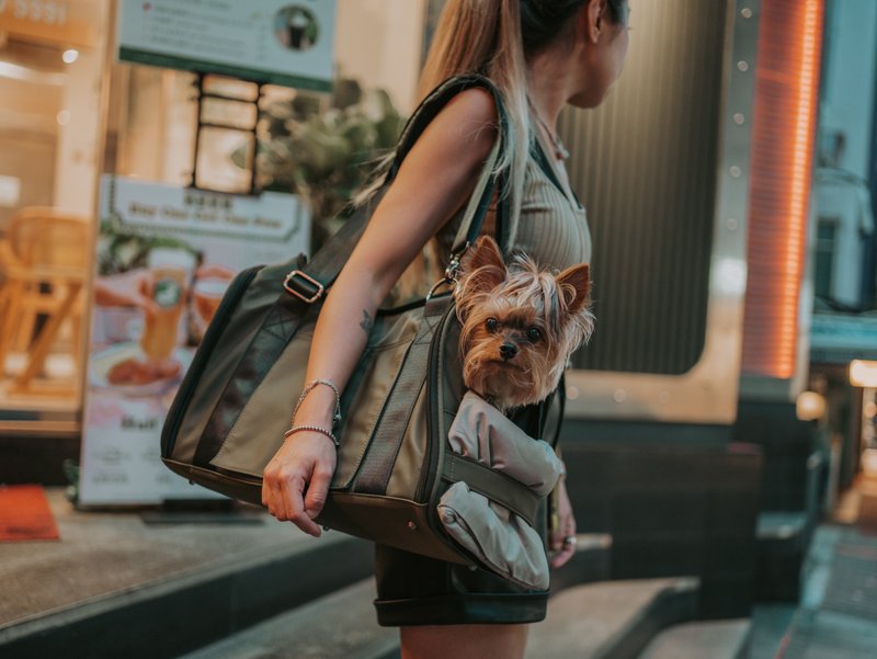 宠物外出包, 上飞机袋 (军绿色, 防泼水尼龙) - 外出包 - 尼龙 绿色