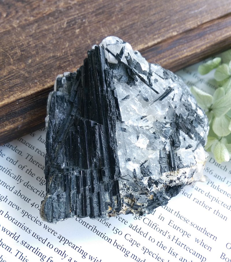 Tourmaline 马达加斯加 电气石 黑碧玺 石英共生 天然矿石 原矿 - 摆饰 - 其他材质 