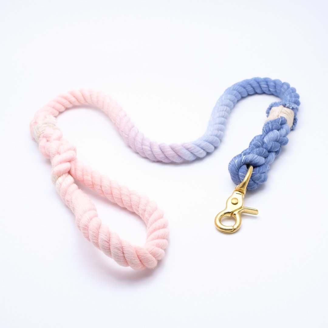 COTTON DOG LEASHES - BLUE/PINK - 项圈/牵绳 - 棉 多色