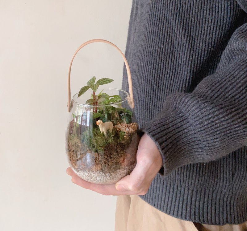 苔藓微景观玻璃提罐 - 植栽/盆栽 - 植物．花 绿色