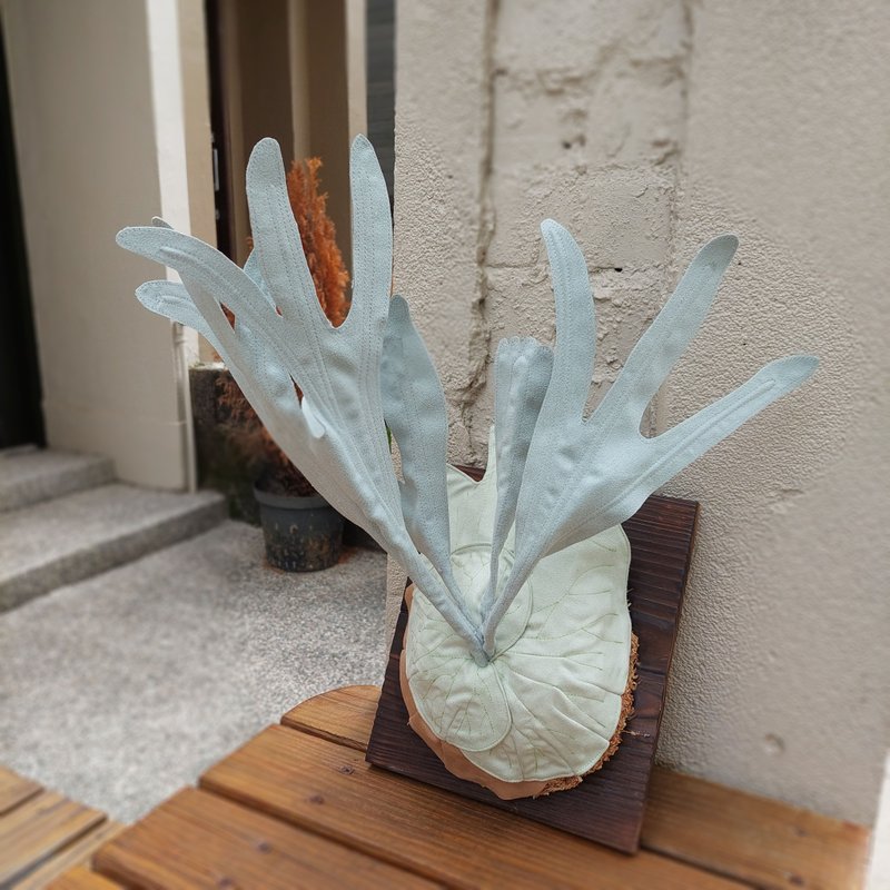 植态写真-银鹿鹿角蕨壁挂 - 摆饰 - 棉 绿色