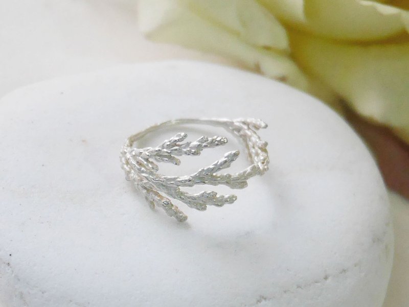 925银 封闭式松柏戒指 - 戒指 - 纯银 银色