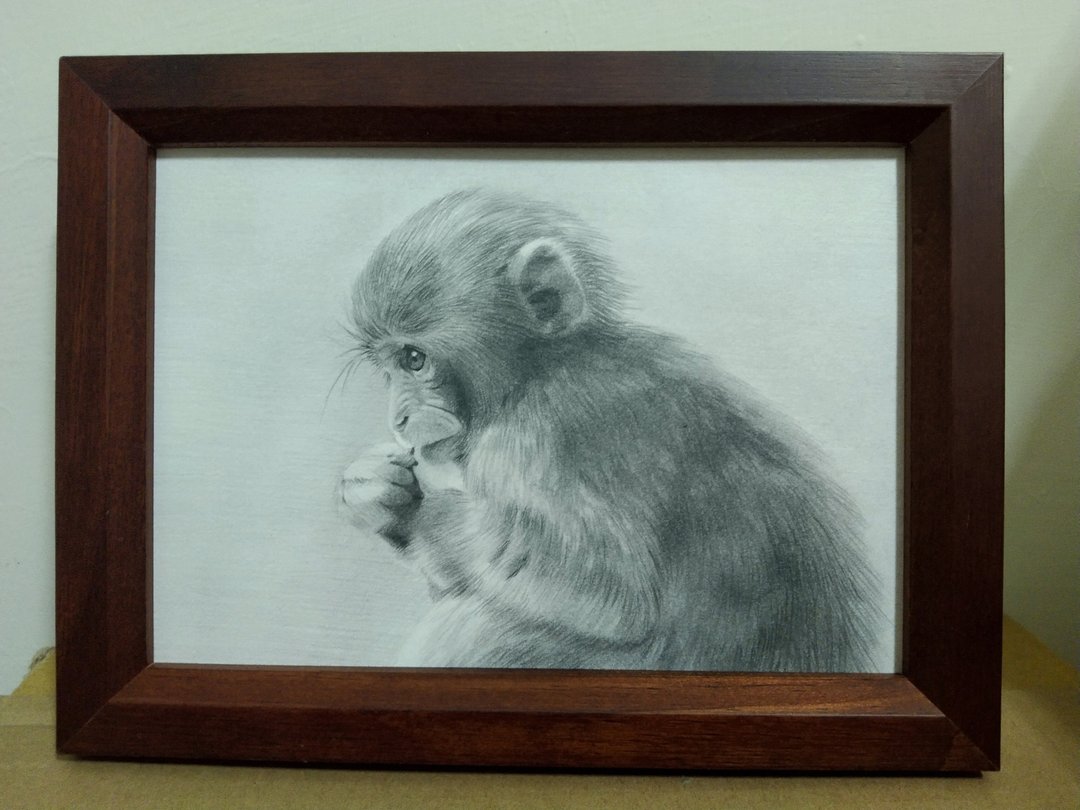 摆设 / 猴子 / 铅笔画 / 原稿 / 含框 - 海报/装饰画/版画 - 纸 