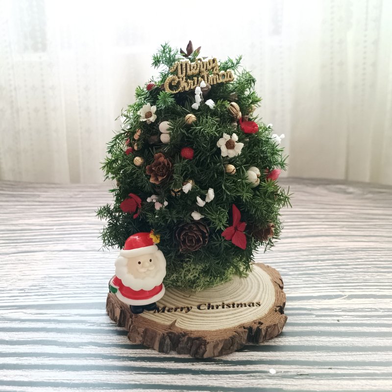 【松果圣诞树】交换礼物/永生雪松/松果圣诞树 - 干燥花/捧花 - 植物．花 绿色