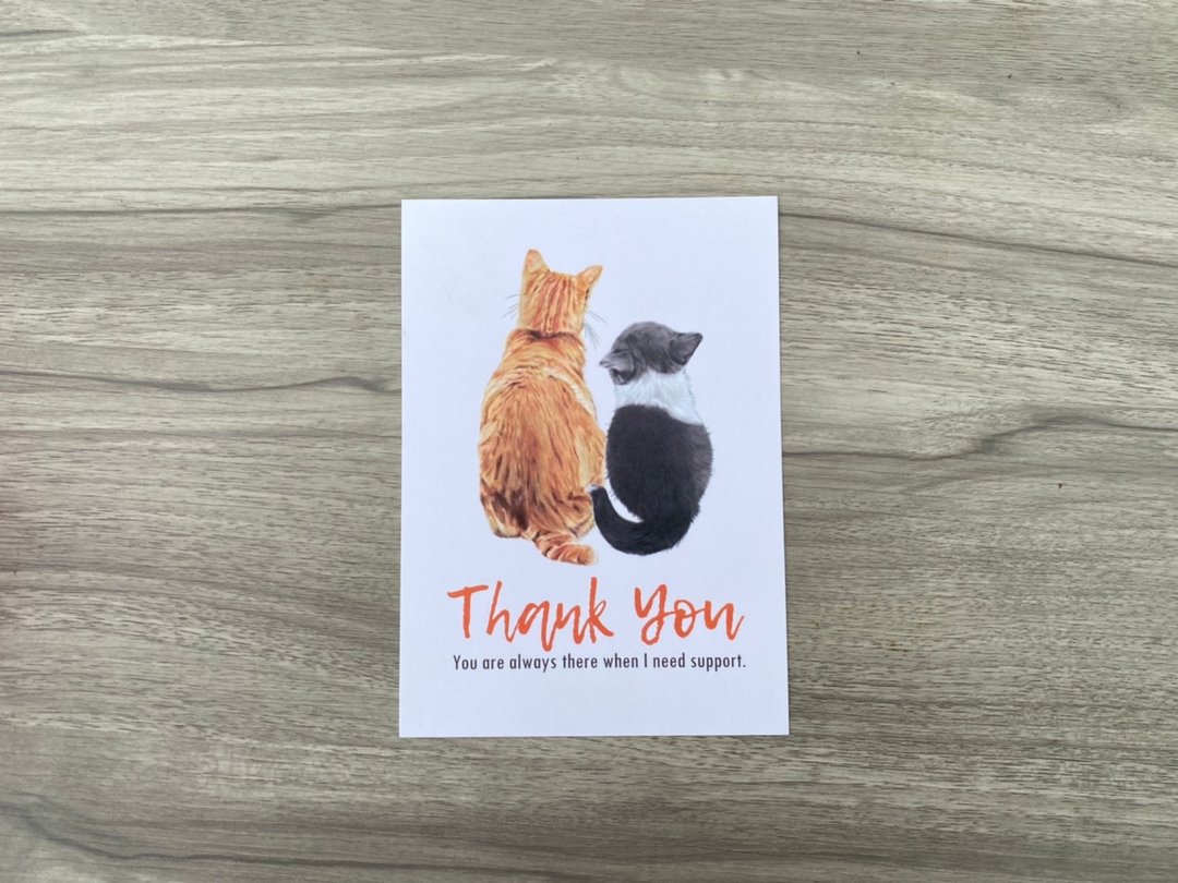 猫咪好朋友/明信片 - 卡片/明信片 - 纸 白色