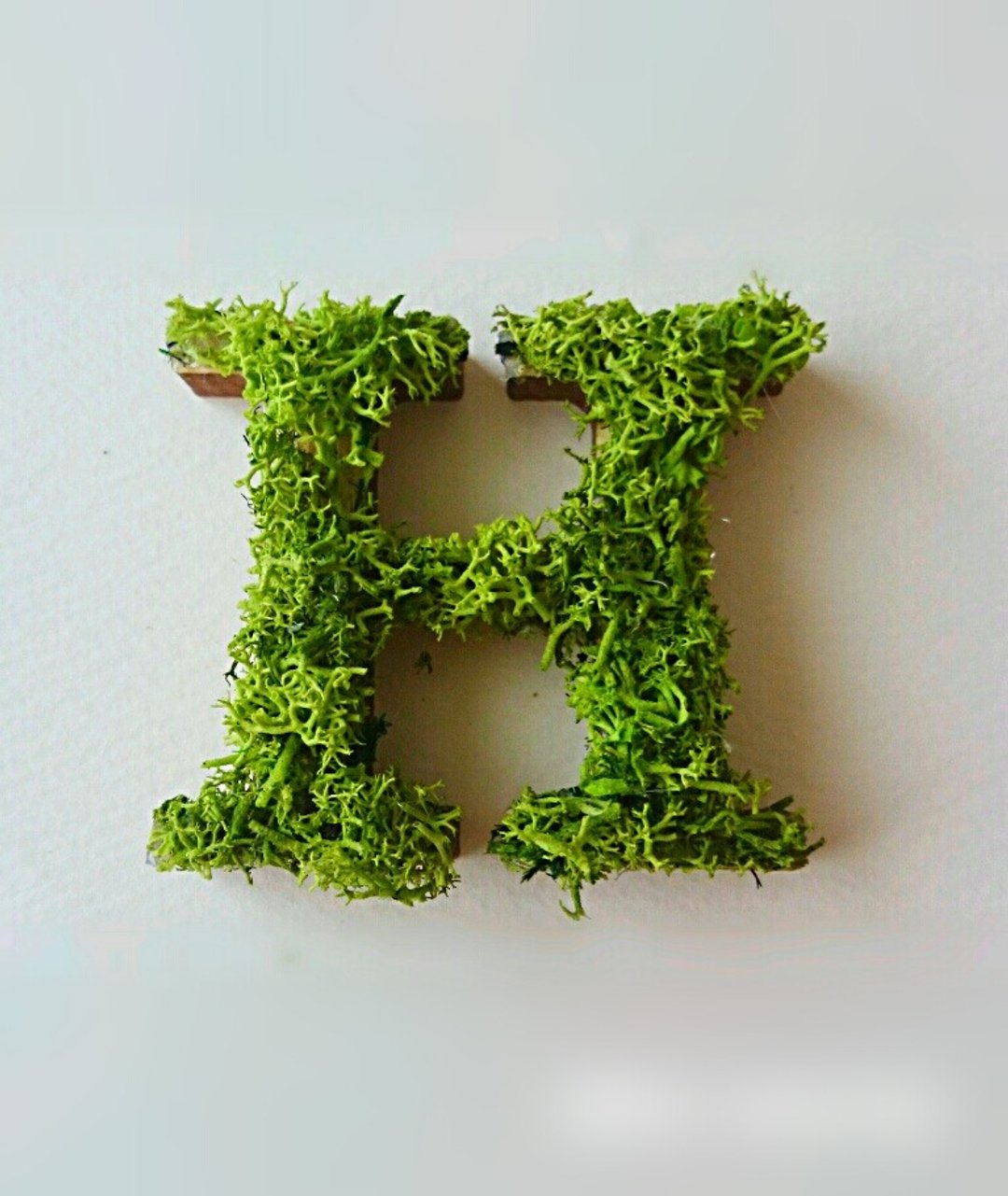 Wooden Alphabet Object (Moss) 5cm/Hx 1 piece - 摆饰 - 木头 绿色