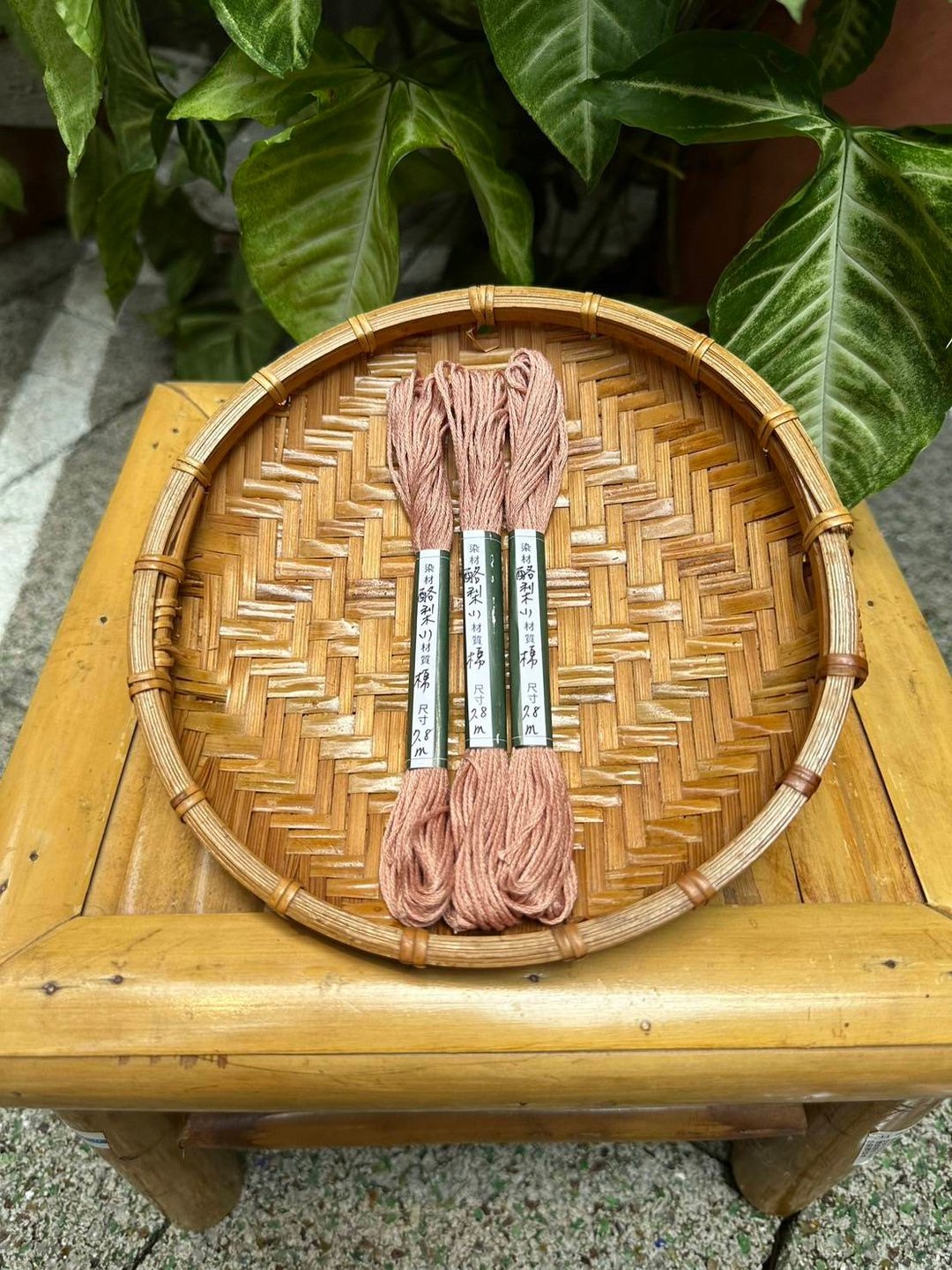 酪梨25番刺绣棉线 - 编织/刺绣/羊毛毡/裁缝 - 棉 