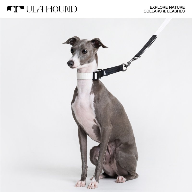 UlaHound 宠物多功能牵引套装 - 项圈/牵绳 - 聚酯纤维 多色