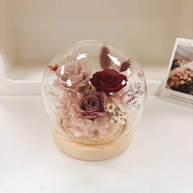 圆形永生花夜灯玻璃罩-泡泡糖系列 扩香 开幕 生日礼物 yuflorist - 灯具/灯饰 - 植物．花 多色
