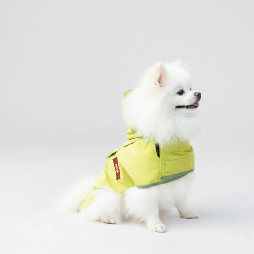 韩国 ppuya 都会犬 绚彩机能雨衣-嫩芽绿 - 衣/帽 - 其他材质 绿色