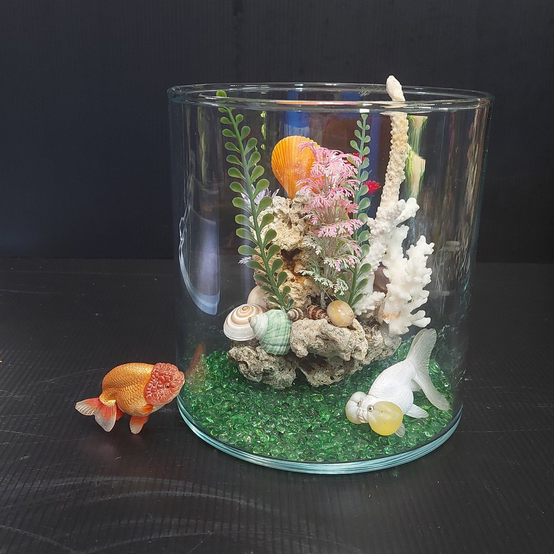 鱼缸 珊瑚海景、流木水草 组合造景 AM-003-M-02 - 植栽/盆栽 - 玻璃 