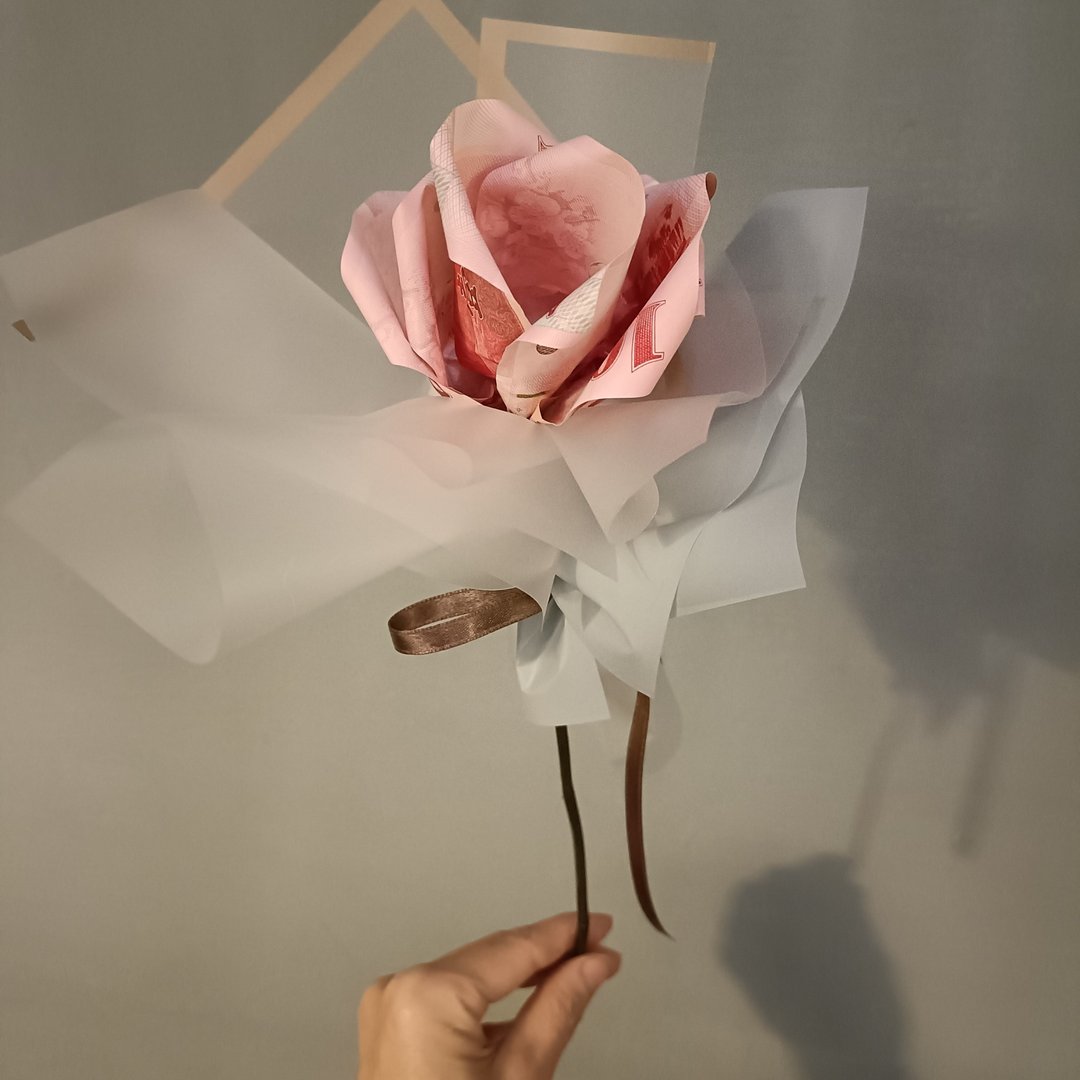 有钱花花束 - 干燥花/捧花 - 纸 