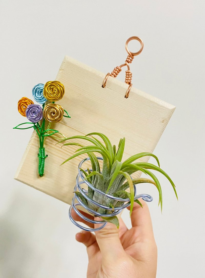 空气凤梨 原木玫瑰铝线吊板 空间布置 交换 毕业礼物(不含植物) - 植栽/盆栽 - 其他金属 