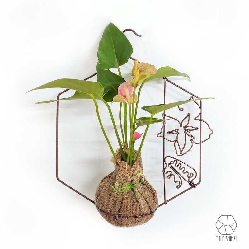 高雄盐埕【绿窗花】中日式铁窗花・自制质感门牌LOGO - 植栽 - 植物．花 