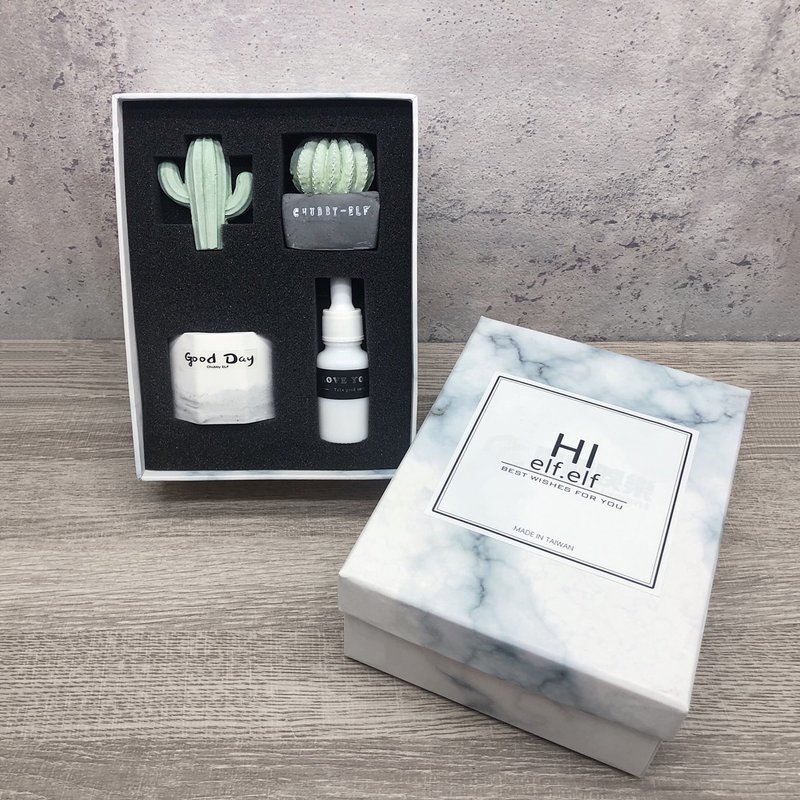 Goody Bag -扩香石仙人掌礼盒组 - 香薰/精油/线香 - 其他材质 绿色