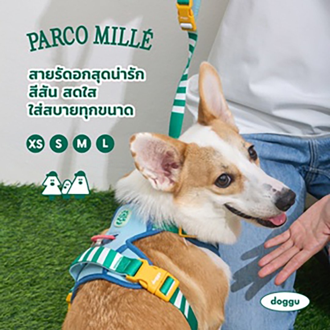 DOGGU PETS Parco Mille 安全带套装 - 衣/帽 - 其他材质 多色