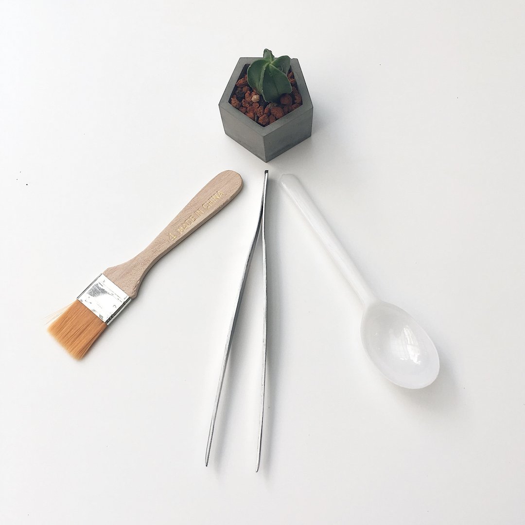 【种植工具】三件一组--植栽夹+挖土勺+清土软刷 - 植栽/盆栽 - 其他材质 灰色