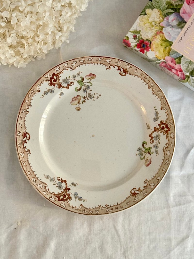 40695-稀有法国19世纪Creil-Montereau 大深盘Alexandra系列30cm - 盘子/餐盘/盘架 - 瓷 