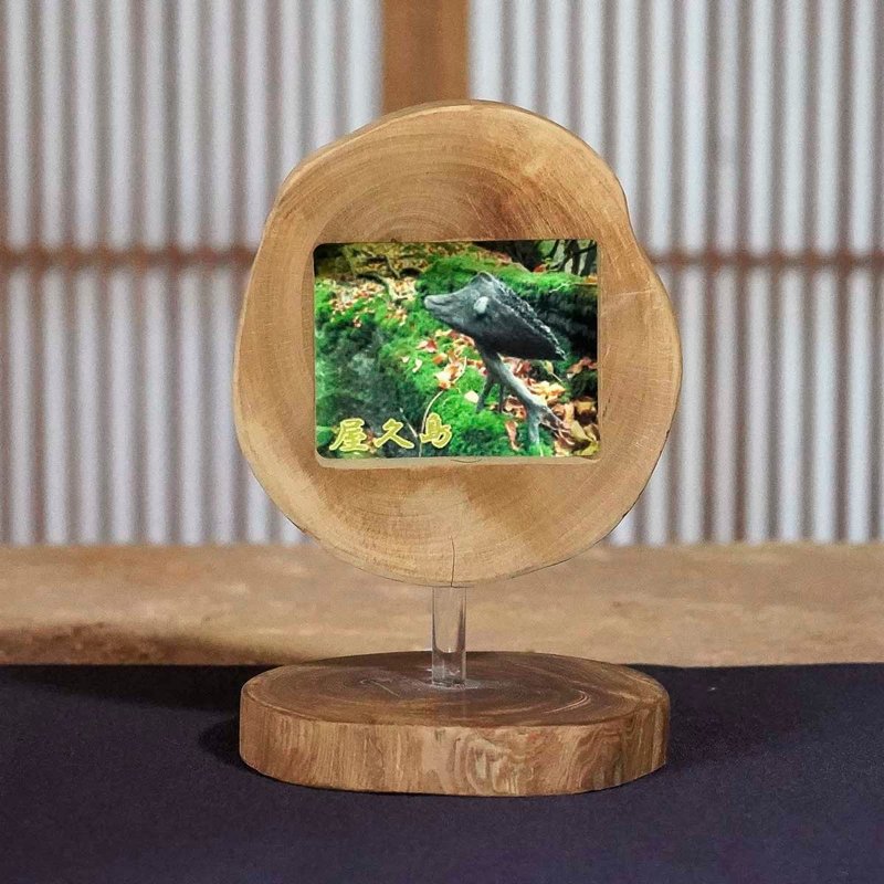 漂流木相框 画框 木框 漂流木艺术 木质摆饰 自然艺术 111 - 画框/相框 - 木头 咖啡色
