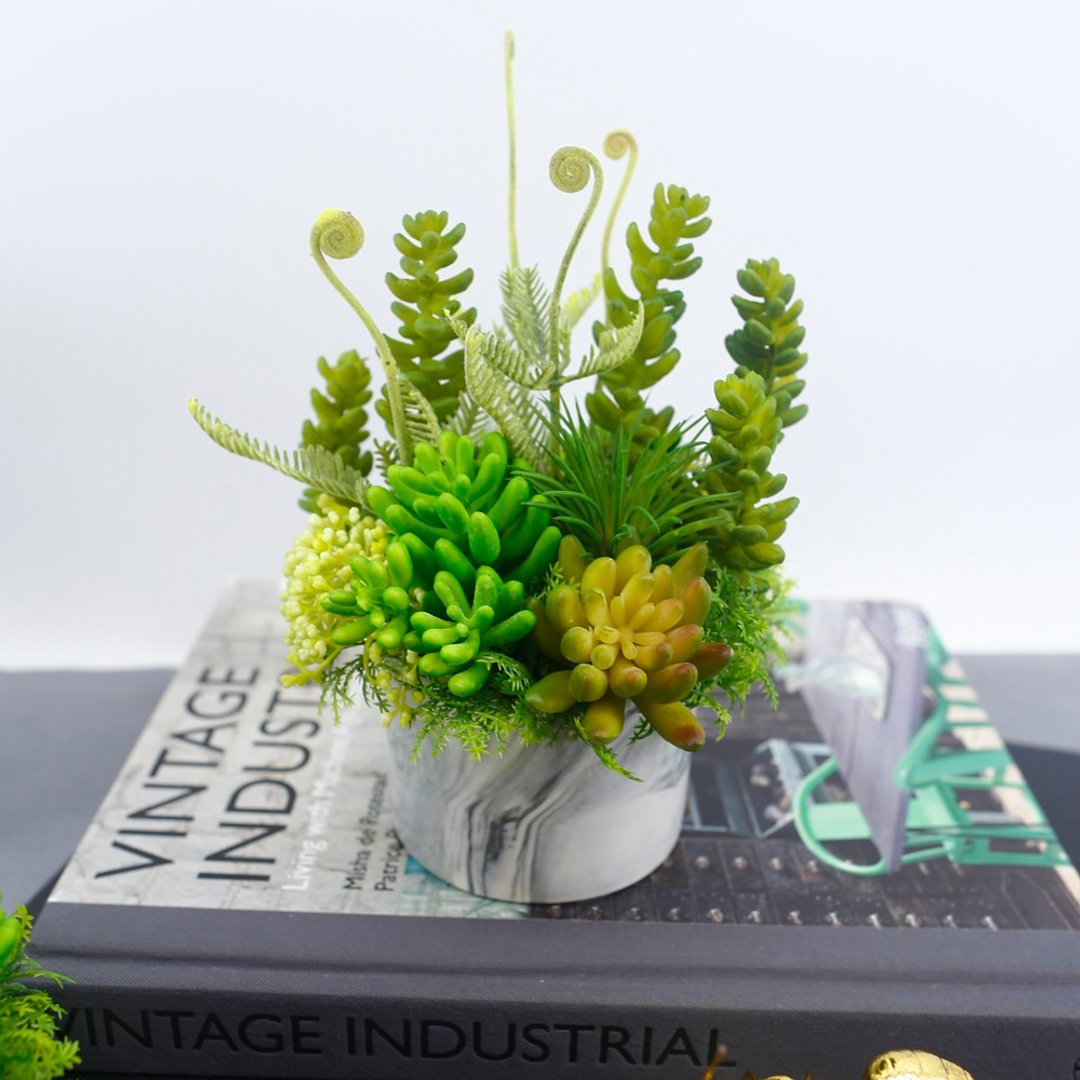 小多肉蕨芽香氛植栽/拟真植栽/香氛植栽/礼物/绿化/布置 - 植栽/盆栽 - 其他材质 