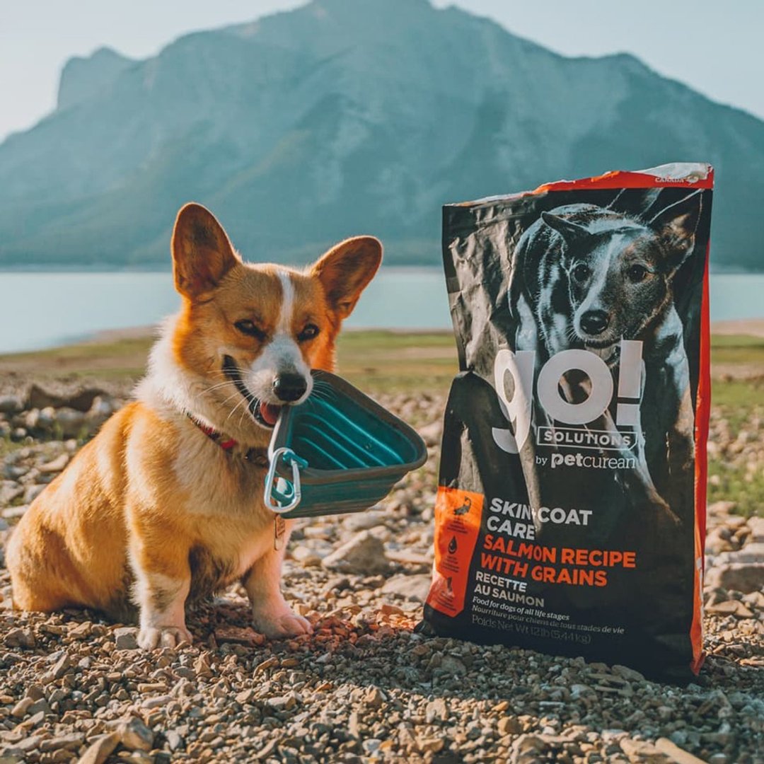 【狗主食】go! 鲑鱼蔬果+燕麦 全犬 全方位系列 皮毛保健 狗饲料 - 狗罐头/鲜食 - 新鲜食材 