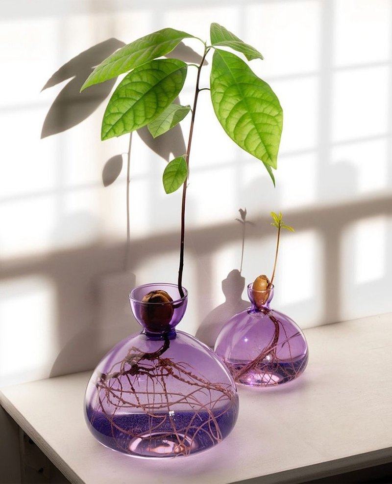 ILEX STUDIO | 酪梨玻璃花器 丁香紫 - 花瓶/陶器 - 玻璃 紫色