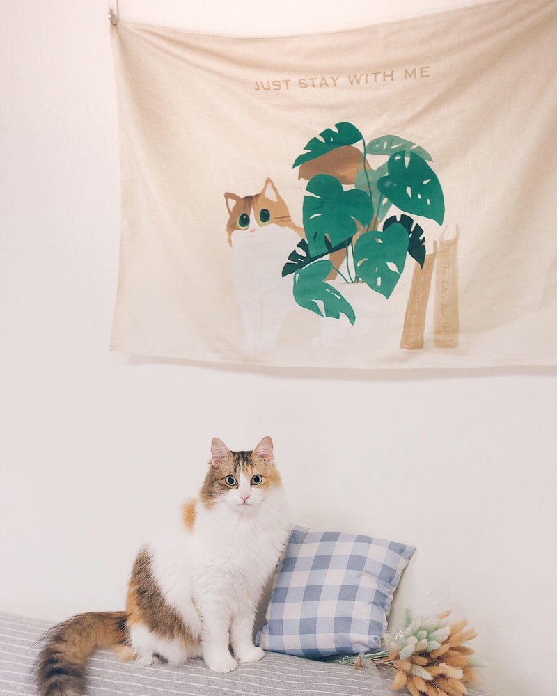 猫咪龟背芋 短绒挂布 ins网红 简约文青 拍照背景布 北欧风挂布 - 海报/装饰画/版画 - 聚酯纤维 多色