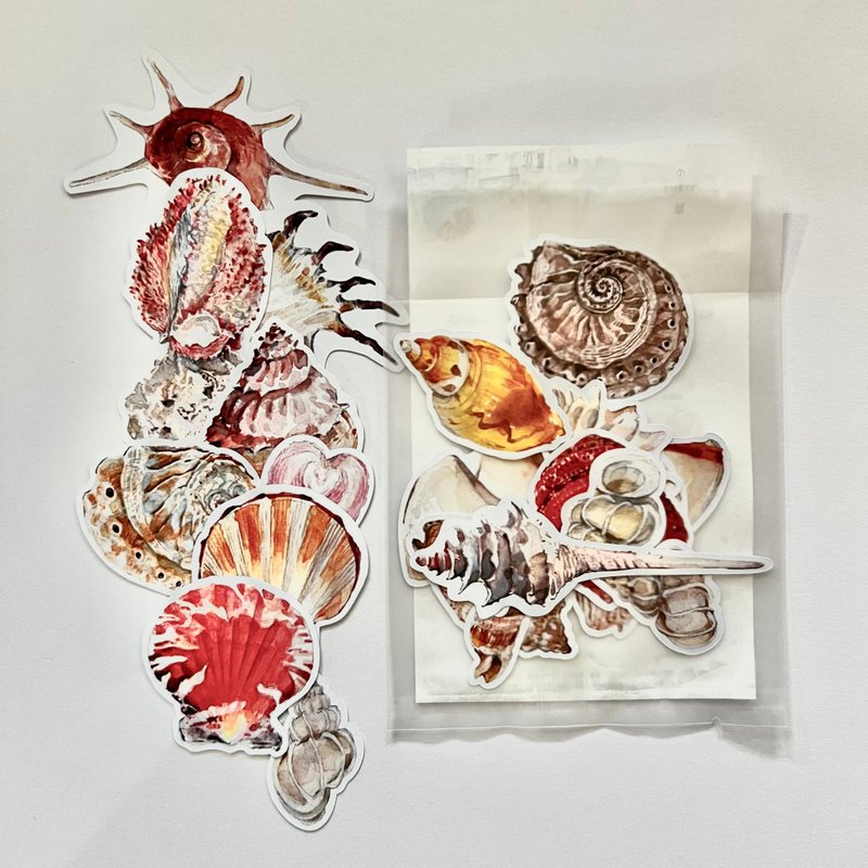 贝 SHELL 贴纸包 - 贴纸 - 纸 