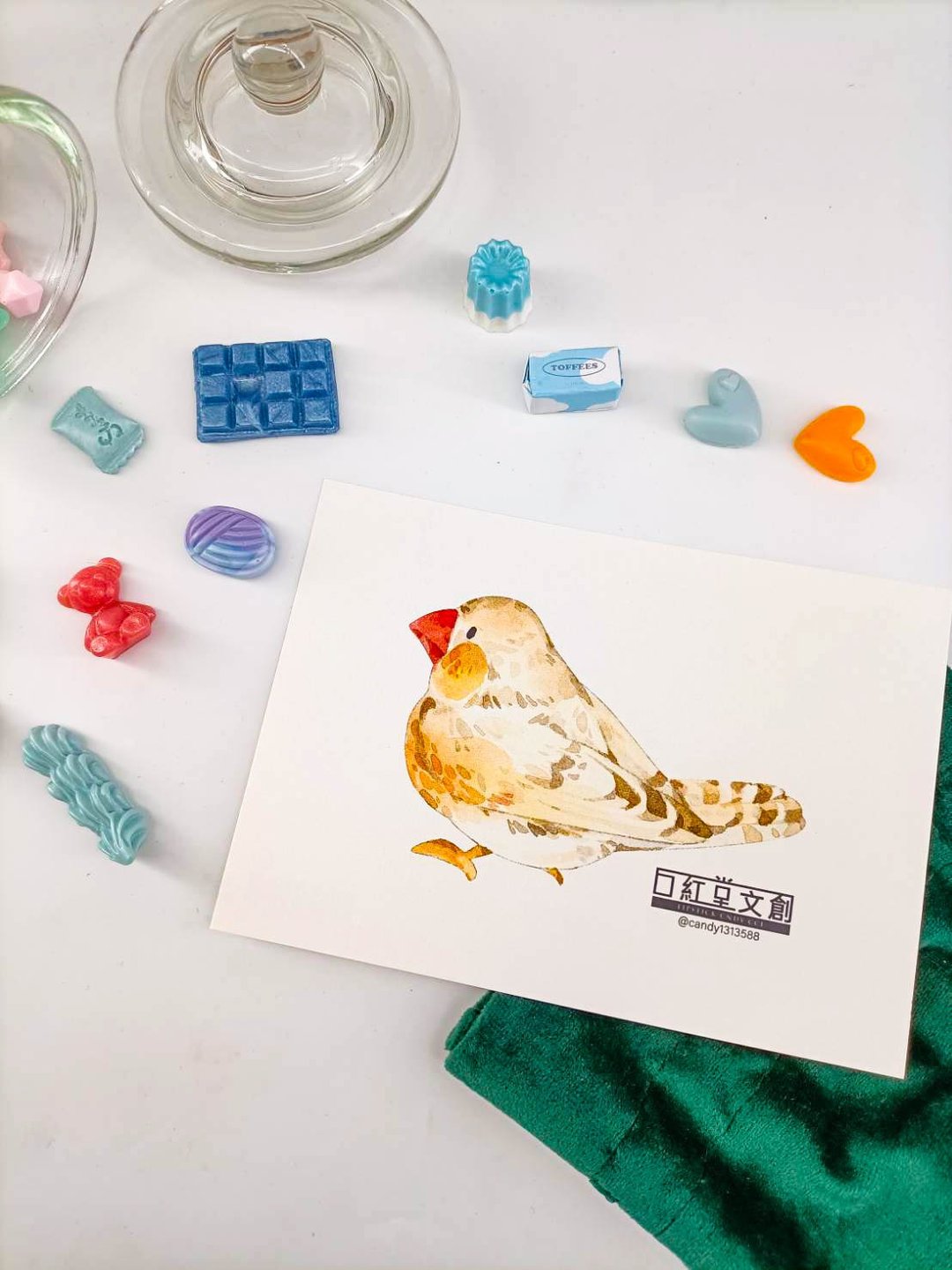 KR474_口紅堂明信片_文鳥3_candy1313588 postcard - 卡片/明信片 - 纸 多色