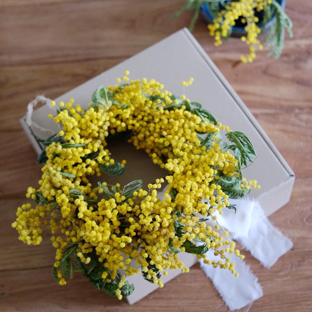 Seasonal Mimosa Wreath - 摆饰 - 植物．花 