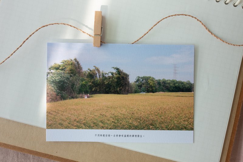 温暖的事情 / 明信片 - 卡片/明信片 - 纸 白色