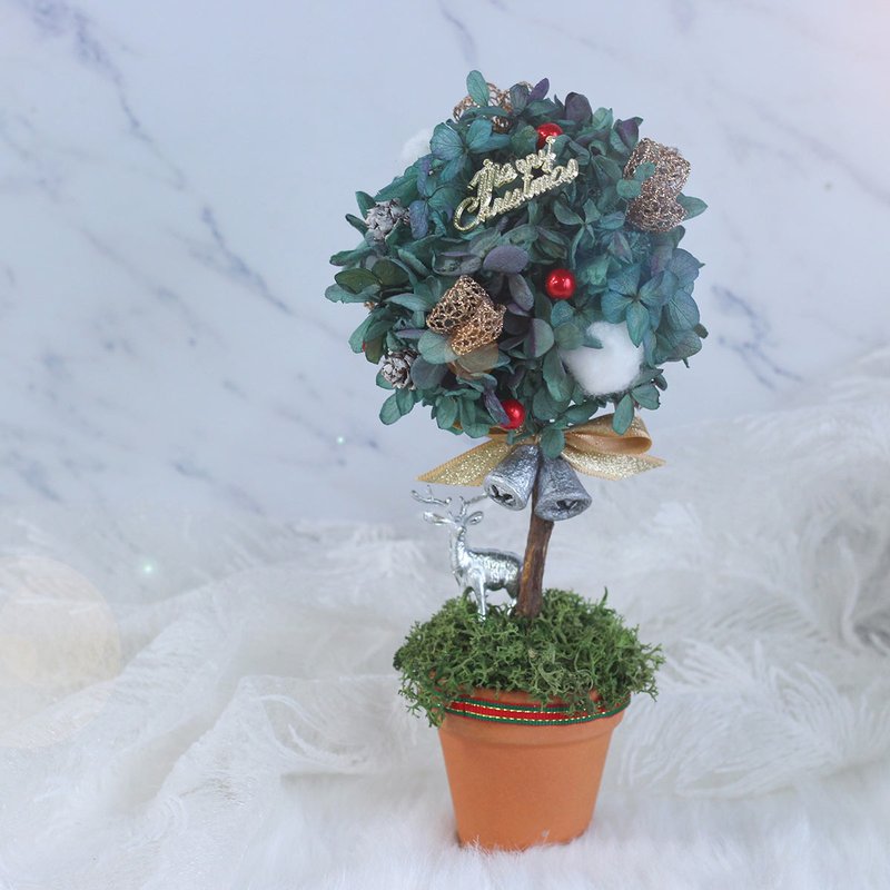 【一人成团】圣诞节限定  圣诞树球小盆栽DIY 手作疗愈小物 台中 - 植栽 - 植物．花 