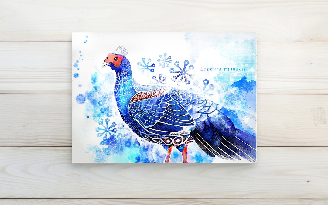 台湾之鸟 台湾蓝鹇 /单面明信片postcard - 卡片/明信片 - 纸 