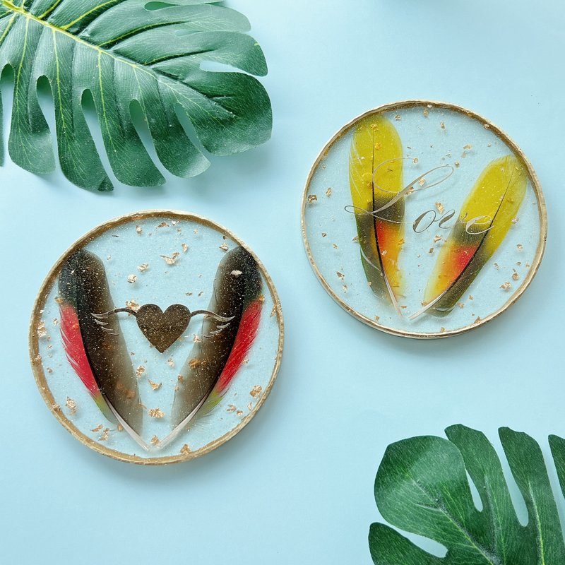 羽毛保存 - 其他 - 树脂 