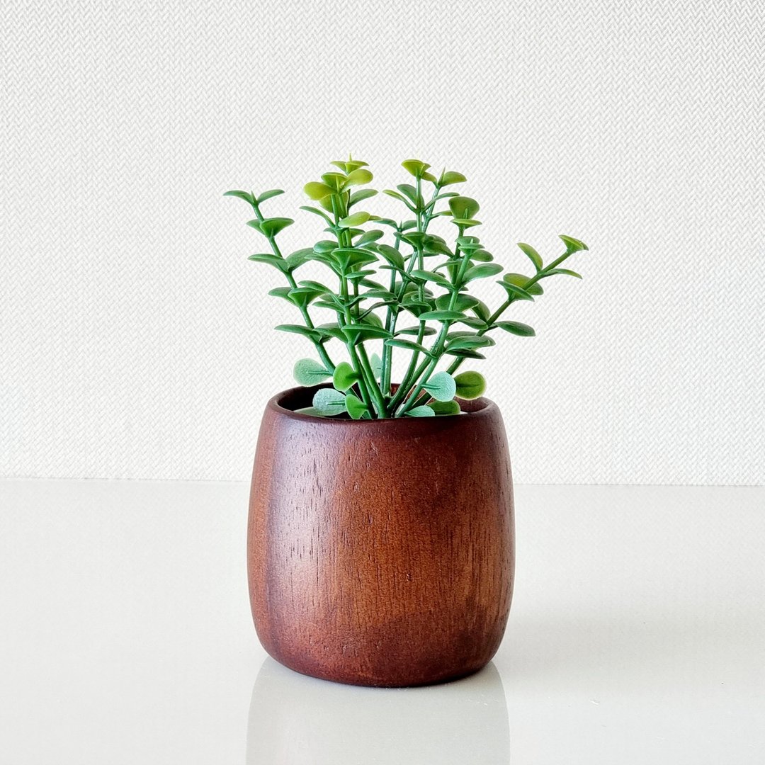 仿真植物（金钱树）带盆 - 植栽/盆栽 - 木头 咖啡色