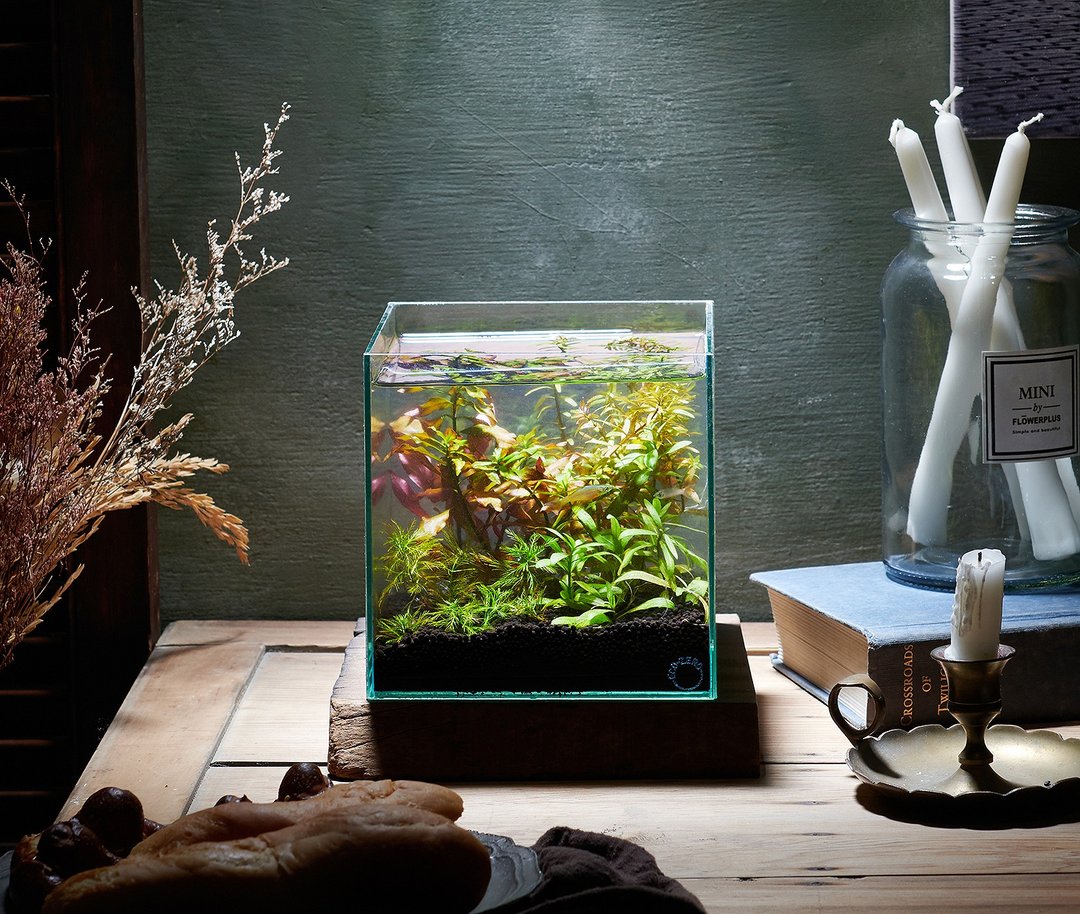 【ECO ZERO】SE+ Cube 透明光科技 水族生态过滤鱼缸 (公司货) - 其他 - 玻璃 透明