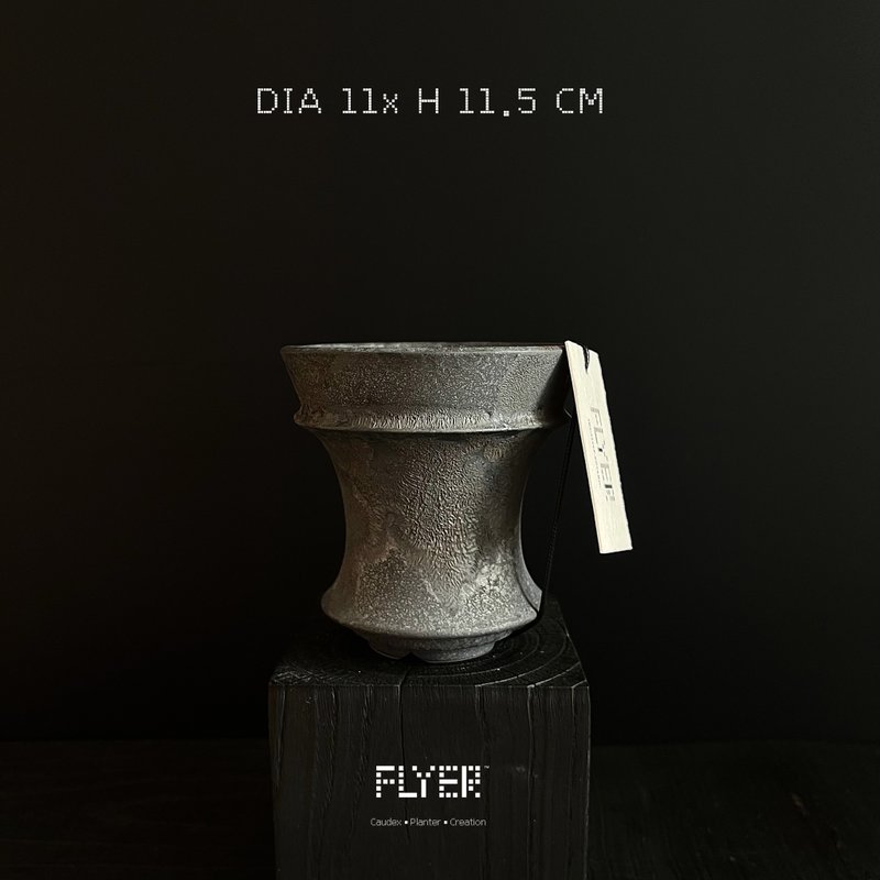 FLYER 块根多肉植物陶盆器 龙舌兰象牙宫象足漆树盆器 - 花瓶/陶器 - 陶 