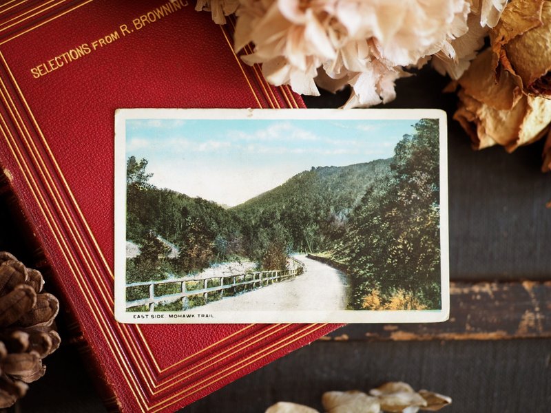 古董明信片收藏 风景明信片 - 美国1917年 佛蒙特州 - 卡片/明信片 - 纸 