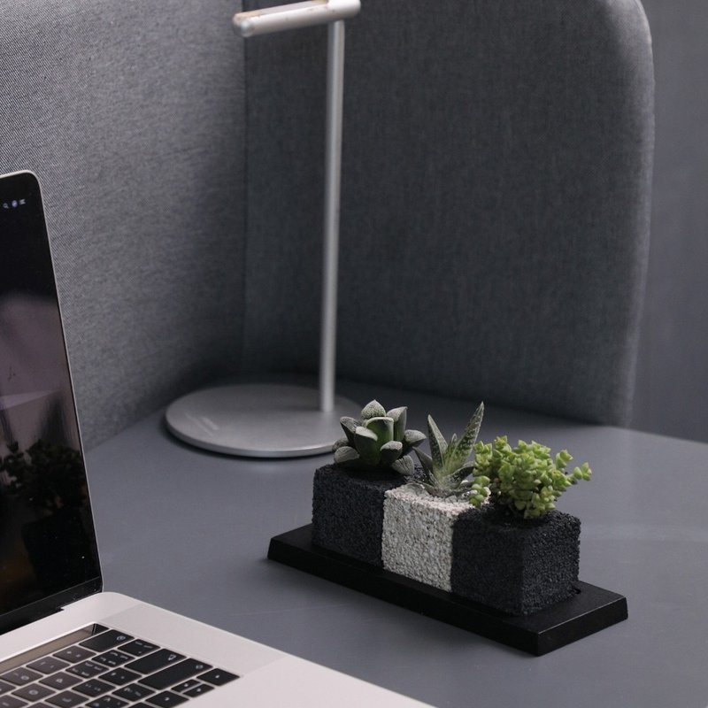 【炭草花】迷你植栽组合 办公桌摆件 室内装饰 礼物款 送木底座 - 植栽/盆栽 - 其他材质 