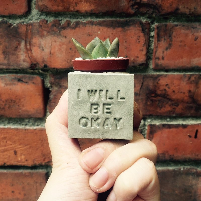I will be okay我会没事的～!多肉磁铁盆栽 - 植栽/盆栽 - 水泥 灰色
