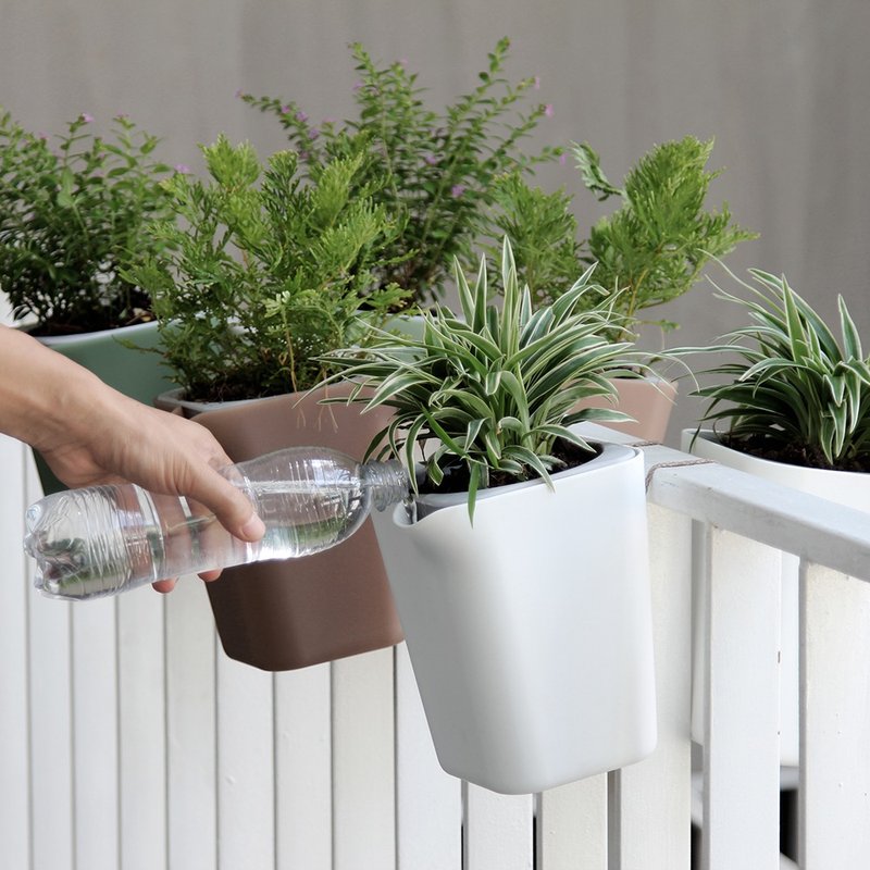 QUALY 绿洲-免浇水方形花器L - 植栽/盆栽 - 环保材料 多色